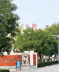 眾升科技高壓無功補償柜 --助力山東福洋生物科技股份有限公司,高效用電、改善用電質(zhì)量！